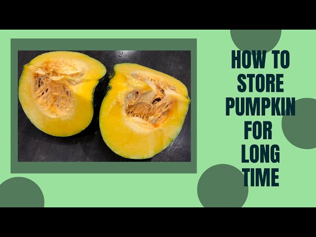 How To Preserve A Pumpkin Forever?