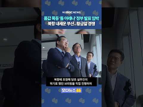 '돔 아레나' 곧 정부 공모 임박, 북항친수공원 내세운 부산