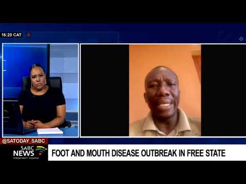 Foot and mouth disease outbreak in Free State: Dr Kristan Mojapelo