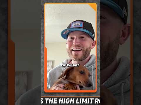 🐶 Who will win #highlimitracing  Dog of the Year? #highlimitroom - dirt track racing video image