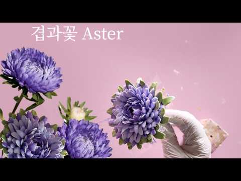 겹과꽃 플라워파이핑 Aster <strong>flower</strong> piping