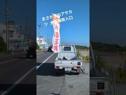 【情熱朝活🌞】太東海岸入口 太東ビーチパーク 太東海水浴場 津波警報 カムチャツカ まさかずのアサカツ R7/7/31 千葉県議会議員 小路正和