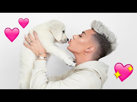 Adopting A Puppy!! 