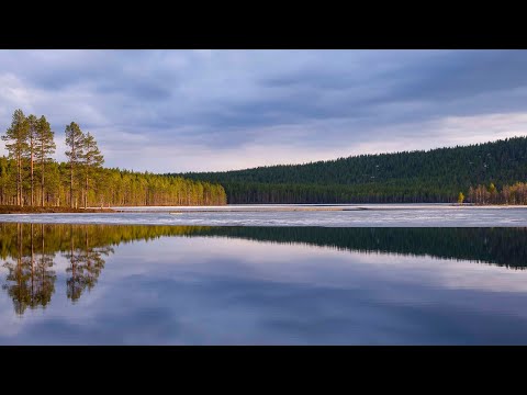 GFX100RF x Serkan Günes / FUJIFILM