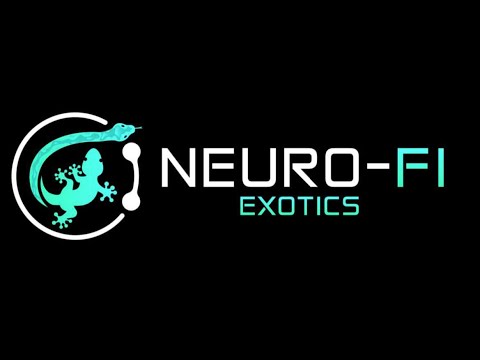 Special Guest - Christa from Neuro-Fi Exotics Neuro-Fi Exotics YT Channel
https_//www.youtube.com/@neuro_fi

Neuro-Fi Exotics IG
https_//www.i