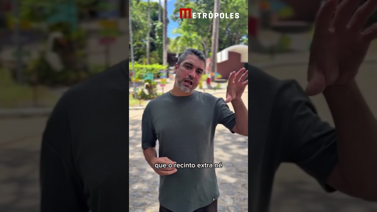 Após estresse, leoa que matou homem em zoo está bem, diz veterinário