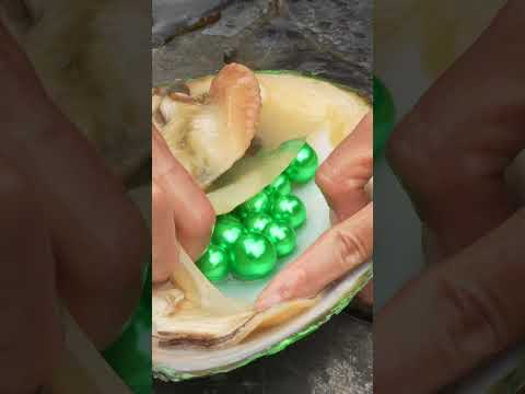 Giant Clam’s Secret: Girl’s Find Sparks Global Race for Riverbed Treasures