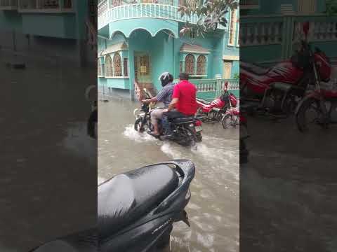 বৃষ্টিতে মাজা জলে কুকুর #rainyday