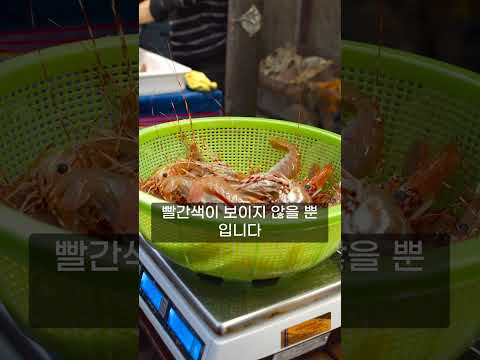 새우는 왜 익으면 빨개질까?