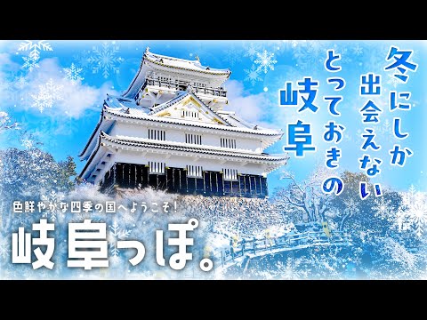 戦国時代を感じる冬旅❗歴史もグルメもイルミも、冬こそ岐阜へ【岐阜っぽ。】