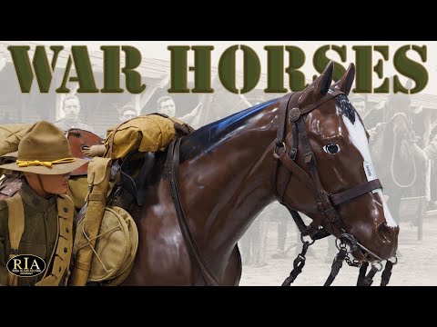 Why You Need a War Horse Mannequin