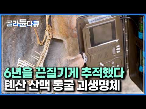 현지인도 일생에 한 번 볼까말까 한다. 최초로 공개되는 그들의 카메라 기록｜세계테마기행｜#골라듄다큐