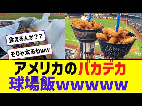 【意味不明】アメリカの野球場メシｗｗｗｗｗｗｗｗ【なんJ反応】