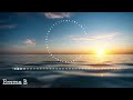 Motion Graphics