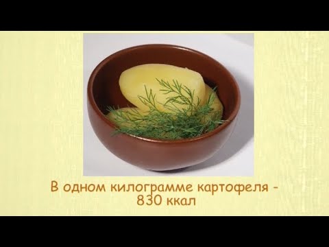 Кулинарная энциклопедия - Картофель - UC7XBjhXnmmXFsxmnys9PmDQ