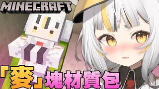 【Minecraft】麥麥再來玩麵包做的麥塊材質包！這次又會有什麼神奇的東西出現？