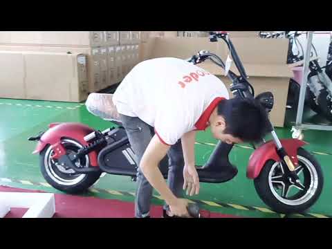 Harley electric scooter Citycoco Chopper Rooder Alligator unboxing