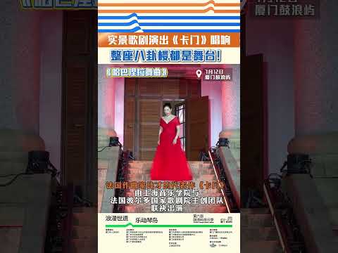 猫の動画サムネイル - 【大陸】2025鼓浪嶼音樂季正式開幕