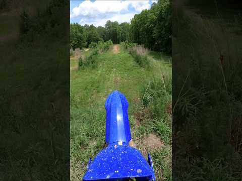 Big Grass Jumps!