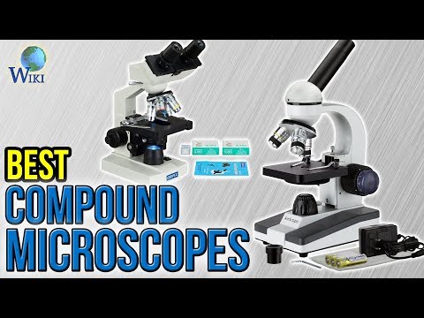 6 Best Compound Microscopes 2017 - UCXAHpX2xDhmjqtA-ANgsGmw