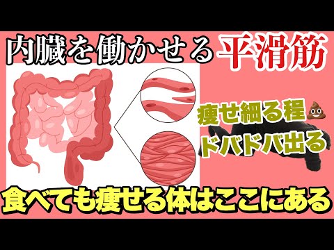 【たった2分】食べても痩せる『内臓筋トレ』ドバドバ出てみるみる痩せていく！