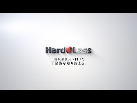 HardoLass Holdings Corporate Profile