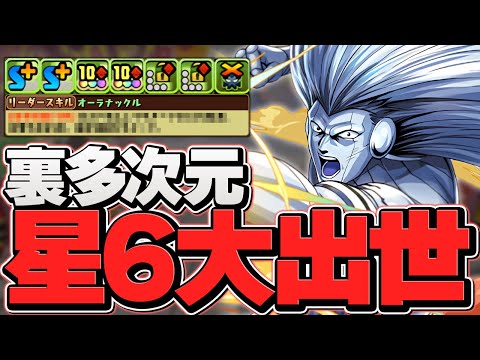 星6キャラのハズレ枠→多色強リーダーに格上げ！指固定で使いやすさ抜群！ヒム使ってみた【パズドラ】