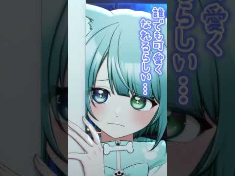 thumbnail_SgY4u9NPrf0