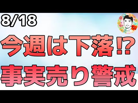 利下げ期待の高まり過ぎ⁉今週は事実売りの可能性も！【8/18 米国株ニュース】