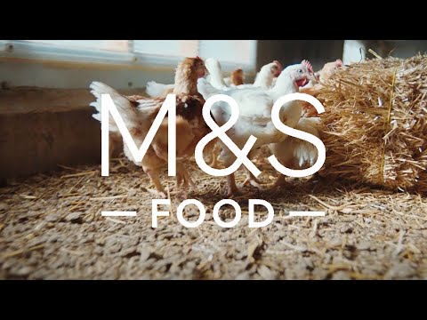 marksandspencer.com & Marks and Spencer Discount Code video: Oakham Gold Chicken Part 2 | Farm to Foodhall | M&S Food