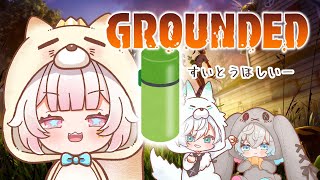 【Grounded】今回はストーリーメインに！シロホシもにぃちゃん達と旅にでようと思います！【椎名シロホシ/Vtuber】#王様配信シロ