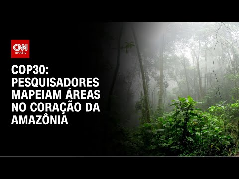 ​COP30: pesquisadores mapeiam áreas no coração da Amazônia | CNN NOVO DIA