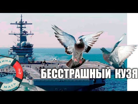 Бесстрашный Кузя. Очень смелая и нахальная птица - UCu8-B3IZia7BnjfWic46R_g