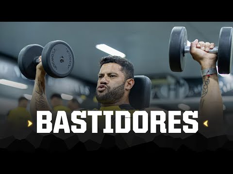 image para ilustrar o artigo