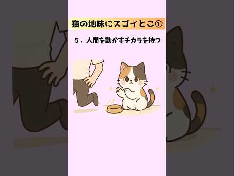 猫の地味だけどスゴイこと20選｜知られざる魅力と豆知識 サムネイル