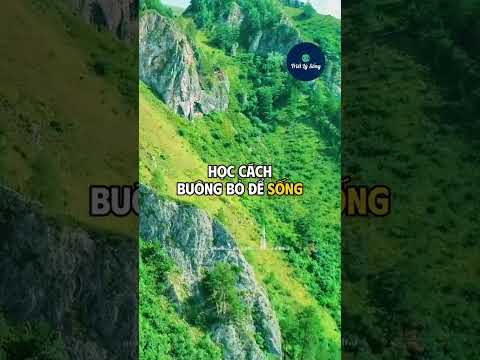 💪HÃY TỰ DỰA VÀO CHÍNH MÌNH #PhátTriểnBảnThân #ThànhCông #LuậtHấpDẫn #KimAnh