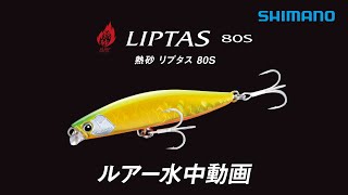 動画サムネイル