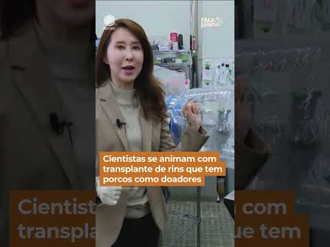 Cientistas se animam com transplante de rins que tem porcos como doadores #Shorts #FalaBrasil