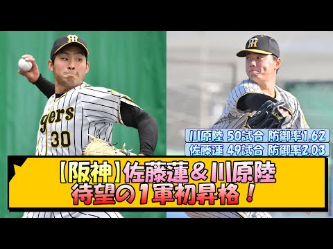 【阪神】佐藤蓮＆川原陸 待望の１軍初昇格！【なんJ/2ch/5ch/ネット 反応 まとめ/阪神タイガース/岡田監督】