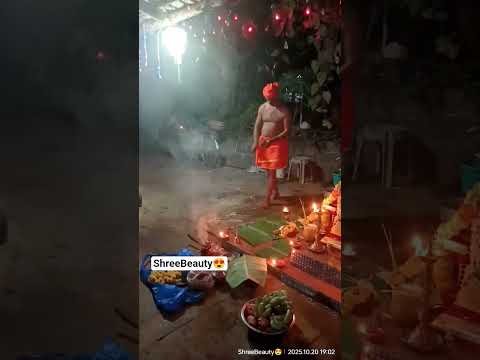 #ದೀಪಾವಳಿ ಹಬ್ಬದ ತಯಾರಿ /ಗದ್ದೆ ಗೆ ದೀಪ ಇಡೋdu/ಕಳಸ ಸ್ಥಾಪನೆ/ಭಾಗ 6