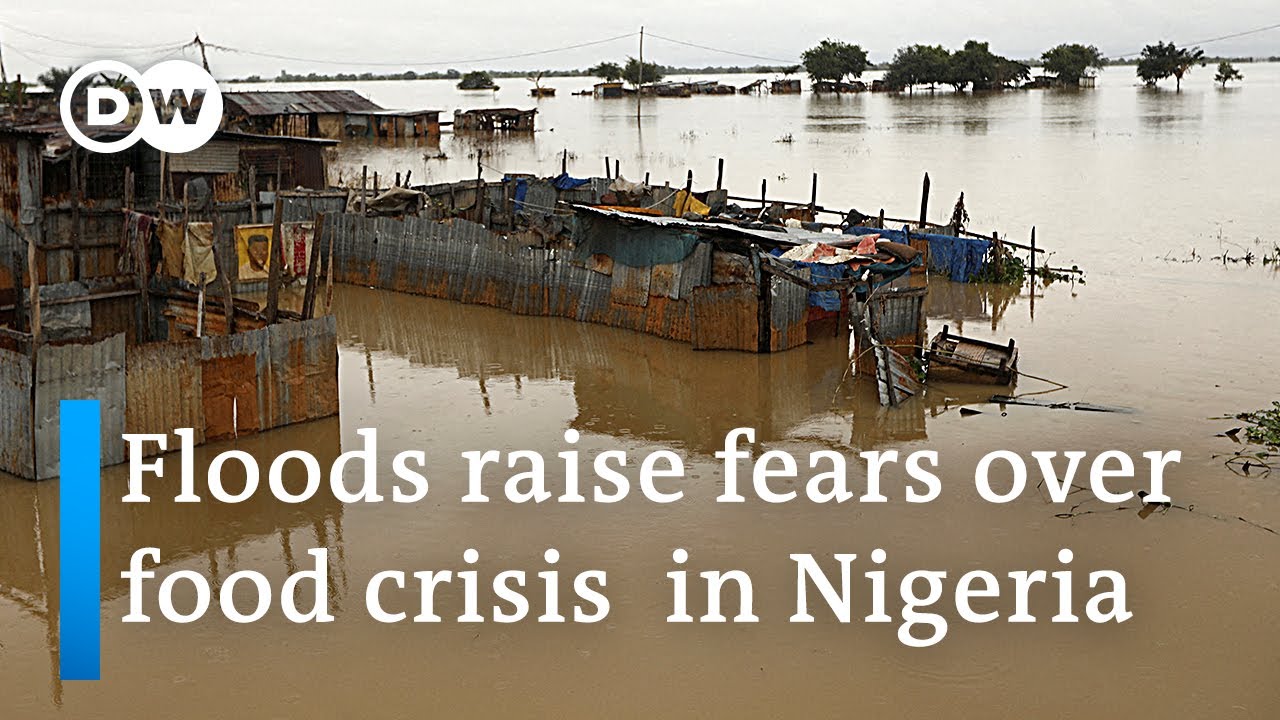 Floods in Nigeria: Why is aid taking so long to reach affected areas? | DW News