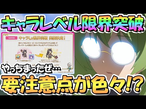 【プリコネR】要注意点あり！キャラレベル限界突破が結構エグい素材要求数かつ重要機能っぽいので解説【キャラLv上限解放】