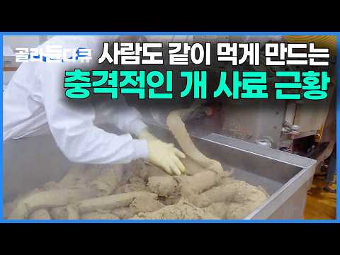 시식까지 해가며 만드는 사료. 주인과 강아지 입맛을 둘 다 사로잡는 요즘 간식｜반려동물 펫푸드 공장｜극한직업｜#골라듄다큐