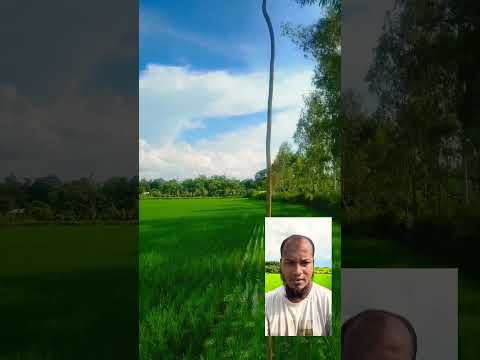 ঘুরলে ঘুরেন দেখলে দেখেন।