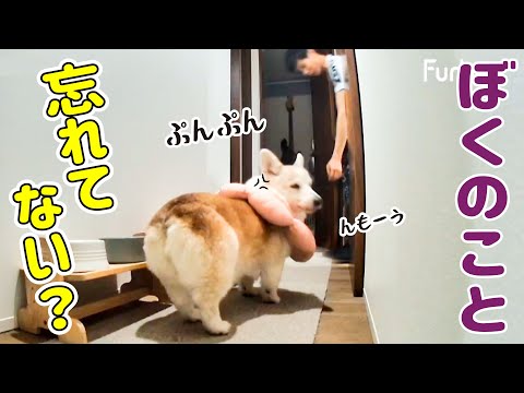 愛犬がムッとした理由が可愛すぎました!