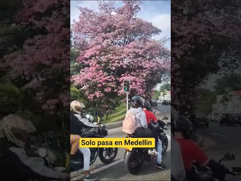 solo pasa en Medellín