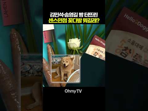 김민석·송영길 빵 터뜨린 센스만점 꽃다발 뭐길래? #shorts #오마이tv
