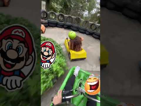 Melhor corrida não existe. #humor #naestrada #2025 #memes
