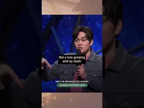 You Are Planted With A Purpose!  Joseph Prince #Shorts