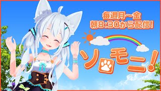 【朝活☀ソロモニ】2025/6/19(木)おはソロ～！！初見さんも大歓迎だよ♪